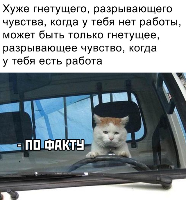 Подборка прикольных картинок Подборка прикольных картинок приколы,смешные картинки,юмор