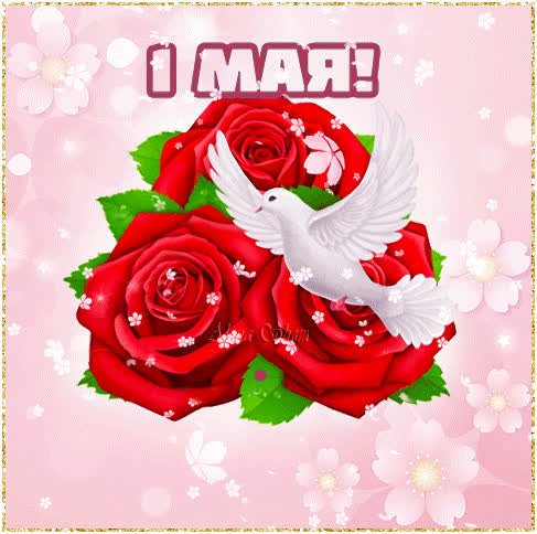Красивые открытки «С 1 мая» для бабушек, дедушек, мам и пап — в общем, для всех можно, открытки, которые, бесплатно, открыток, Весны, теплее, попрежнему, весныСегодня, приход, ощутить, понастоящему, наконецто, температура, становится, воздуха, поздравлять, весну, только, чествует