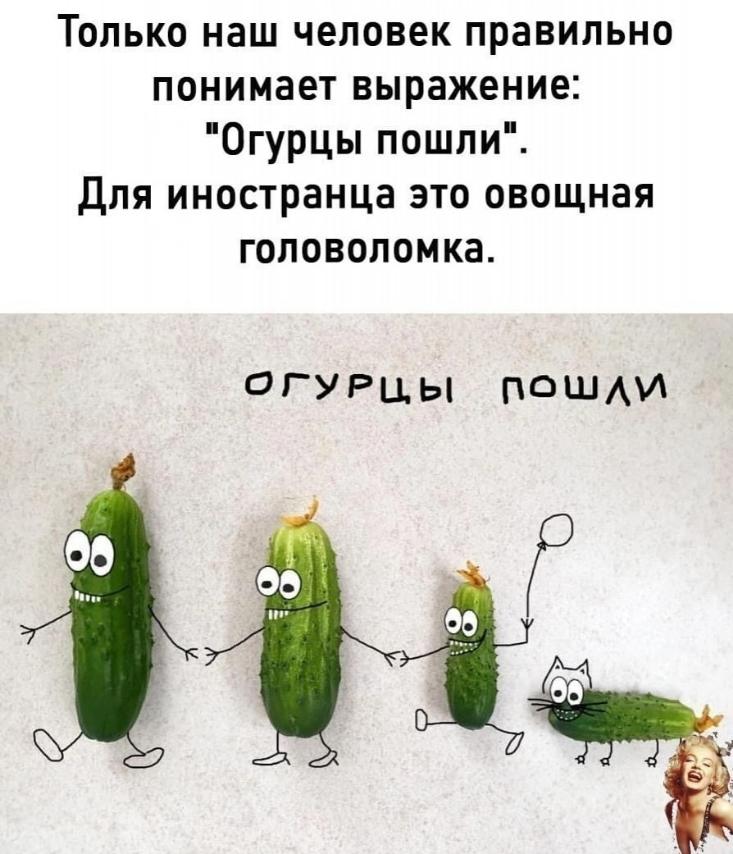 Подборка шуточек Подборка шуточек