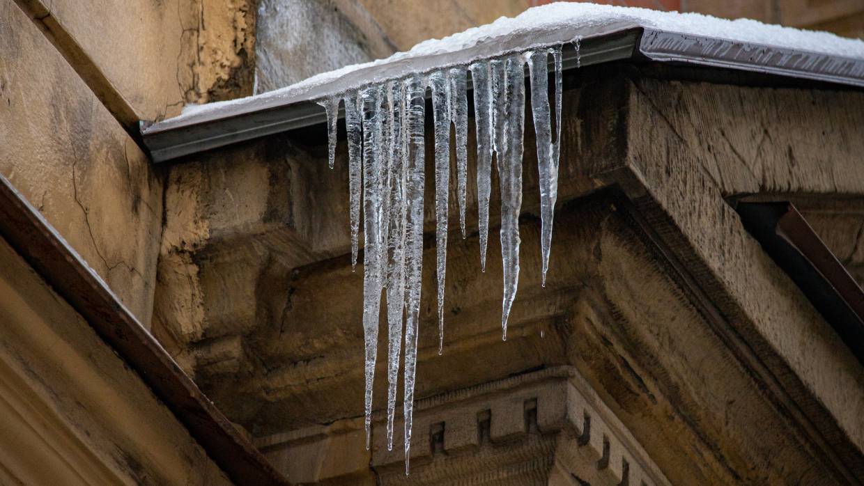 В Ленобласти зимние дороги и дворы чище, чем в «культурном» Петербурге Общество