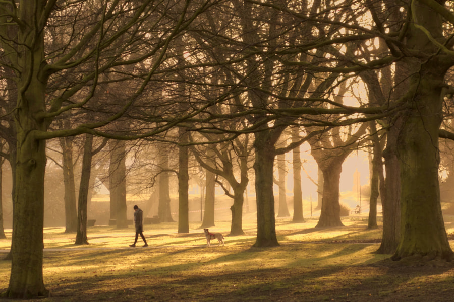 The park by Stehouwer and Recio on 500px