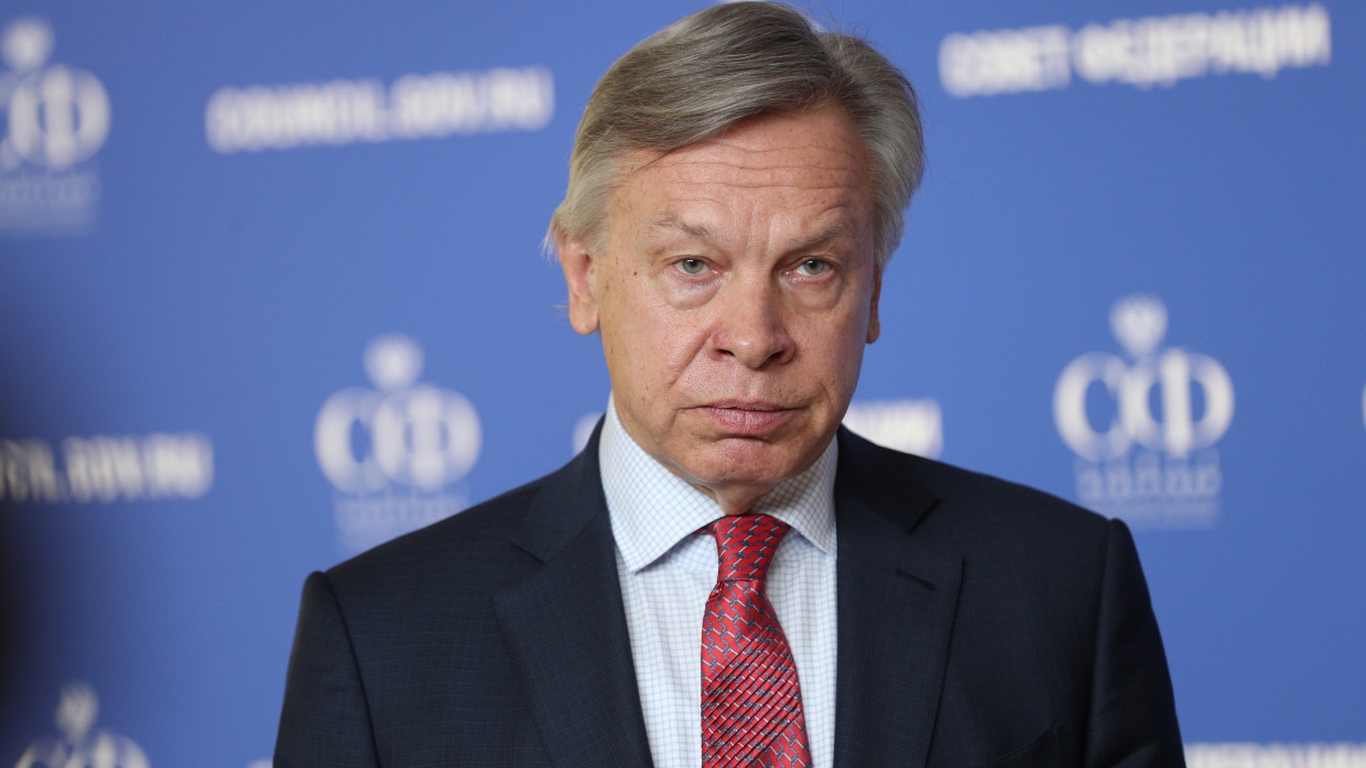 Пушков указал на заменимость Facebook после сбоев в работе соцсети