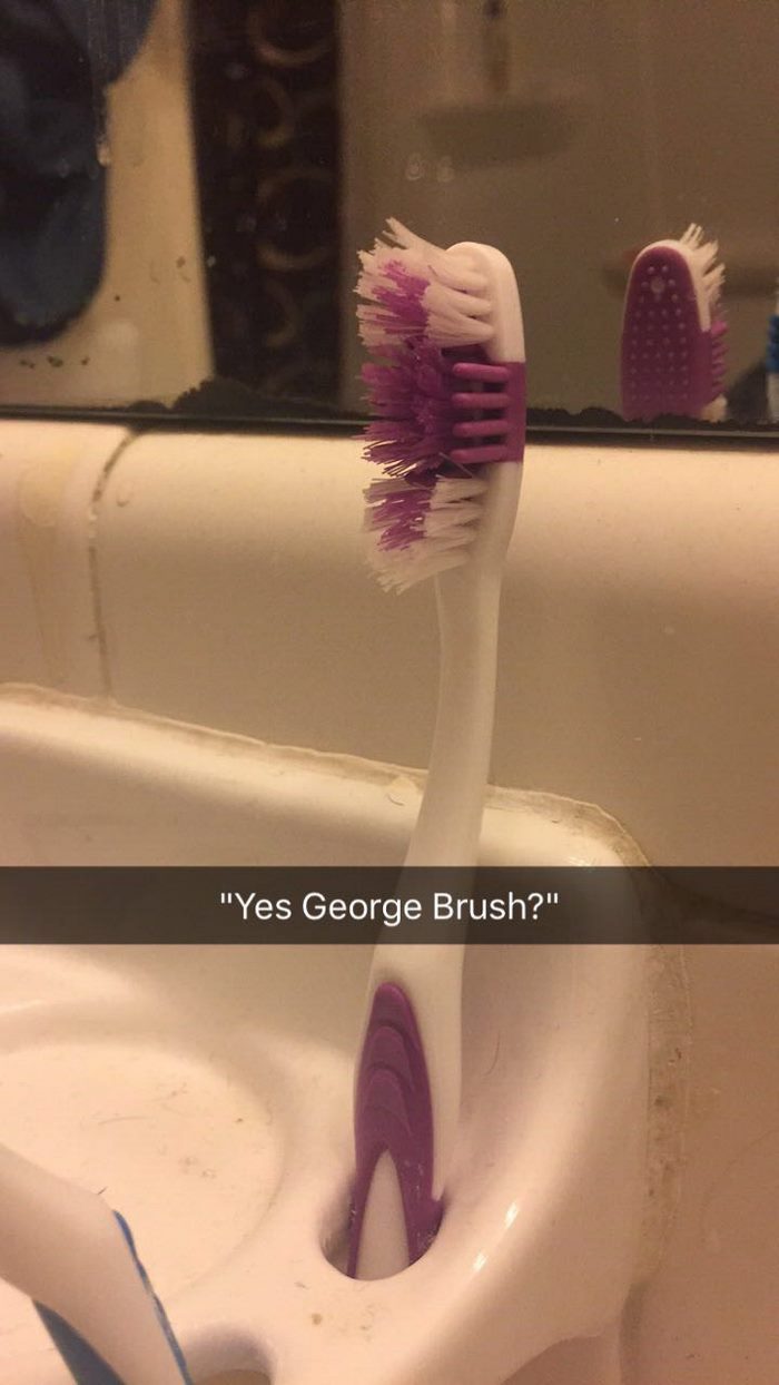 toothbrush-love-story-bristles-2
