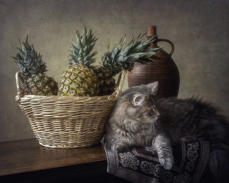 Сидела кошечка в окошке, встречала теплую весну. Натюрморты Ирины Приходько Фотография