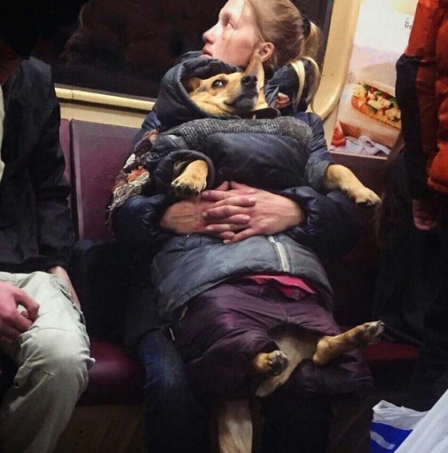 Помогите