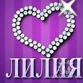 Картинка с именем лилия, днем