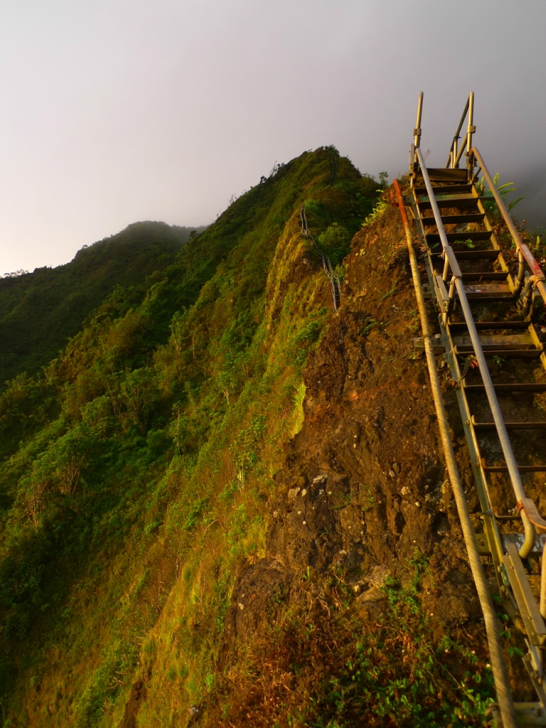 Лестница Хайку на Гаваях Лестница, на такой, «Лестница, ее называют, иногда, поэтому, Именно, в облаках, скрывается, и вершина, облачность, плотная, бывает, высоте, Нередко, Хайку, 850м  3, высоту, поднимается, Кулау1 2