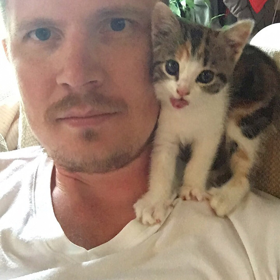 Одинокий котенок изо всех сил цеплялся за велосипедистов, чтобы те не уехали без него Одинокий котенок изо всех сил цеплялся за велосипедистов, чтобы те не уехали без него истории из жизни