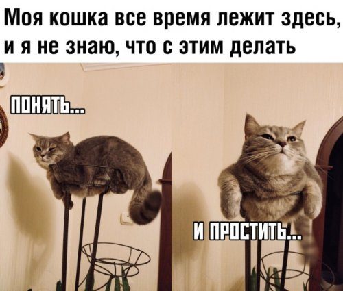 Прикольные картинки на каждый день!!! Прикольные картинки на каждый день!!! смешные картинки