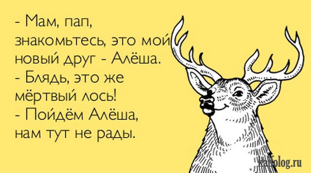 прикольные картинки про алешу можно