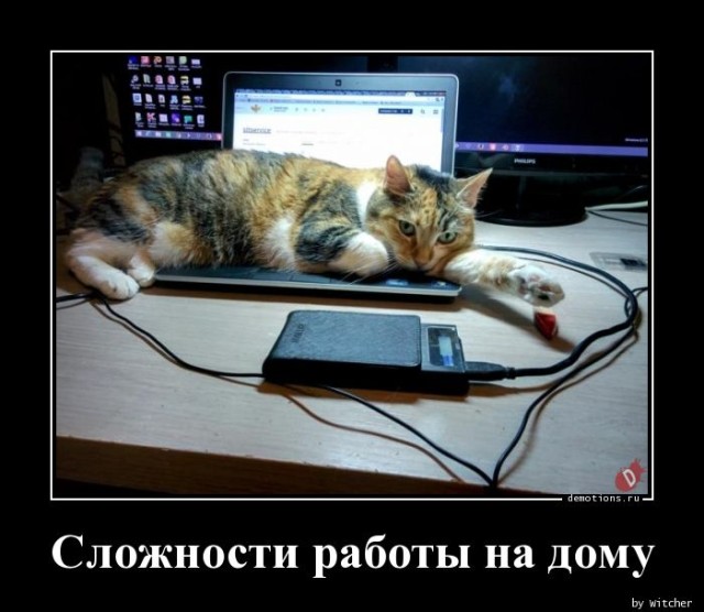 Свежая порция демотиваторов: «Кто крайний?» 