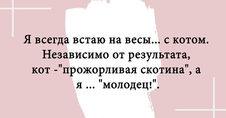 Смешные картинки с шутками и анекдоты Смешные картинки с шутками и анекдоты