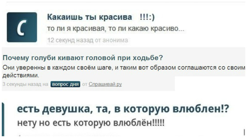 Как гласит народная мудрость: «На любой глупый вопрос, найдётся не менее глупый ответ» вопросы, интересное, прикол, спрашивай