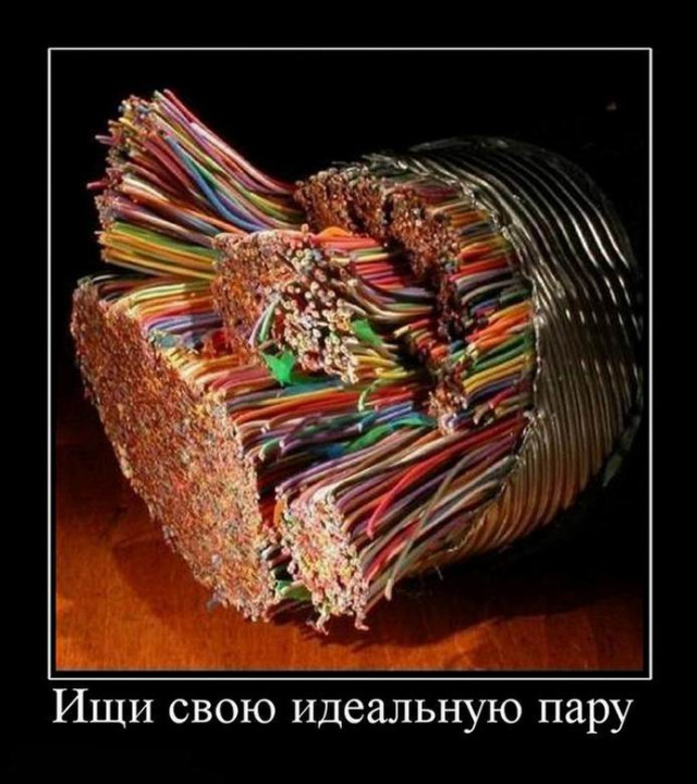 Демотиваторы для всех: «Хочется всего и сразу…» 