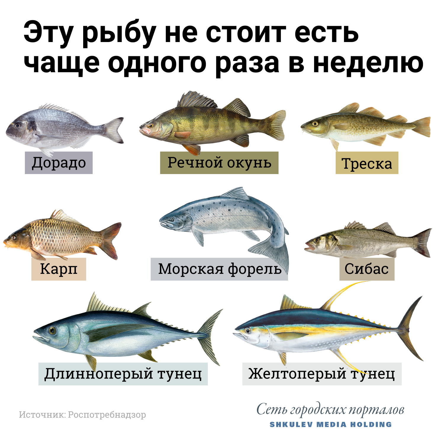 Рыба помогает усваивать в организме витамин D, но на некоторую налегать всё же не стоит — кроме пользы получите побочку