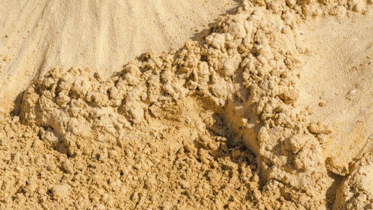 Крупное месторождение песка обнаружили в Беларуси