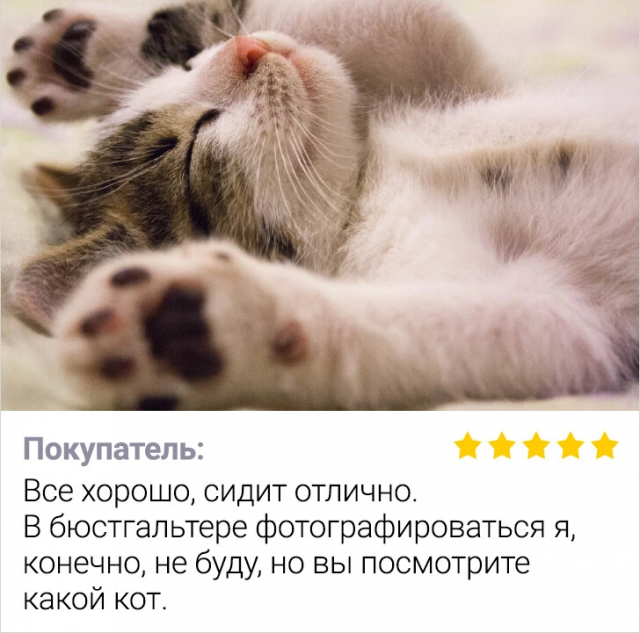 Отзывы в интернет-магазинах: гениально, беспощадно, бессмысленно 