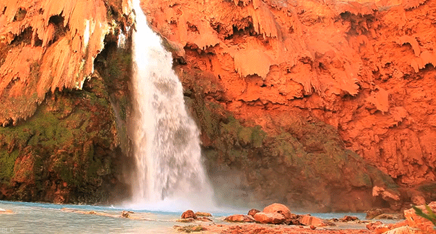 Гифки из нашей жизни 