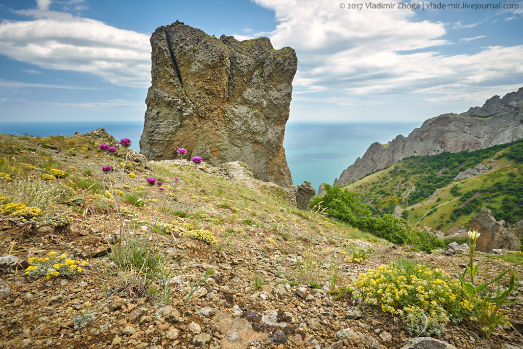 Доска крым. Красота Крымского заповедника. Крымский заповедник достопримечательности. Животный мир Карадага. Места родные заповедные Крым.