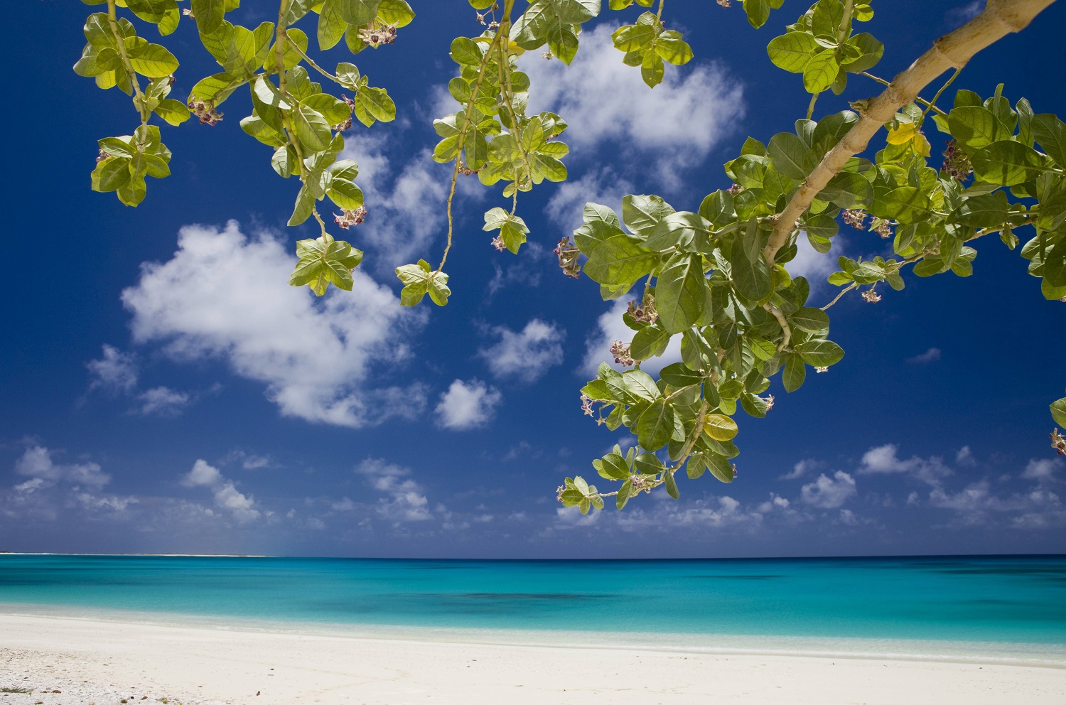 Страшнее Чернобыля и Фукусимы: США превратили райские острова в "мёртвую зону" Страшнее Чернобыля и Фукусимы: США превратили райские острова в "мёртвую зону" геополитика