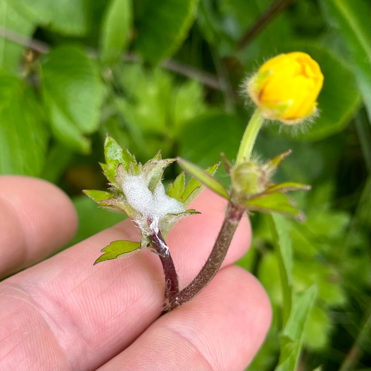 Фу, молодой человек, вы ещё это и сфотографировали!