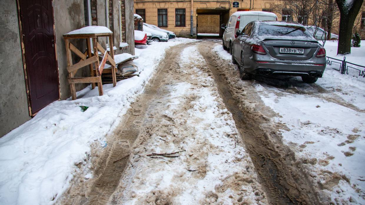 В Ленобласти зимние дороги и дворы чище, чем в «культурном» Петербурге Общество