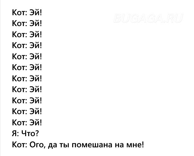 Прикольные КОТОмемы  