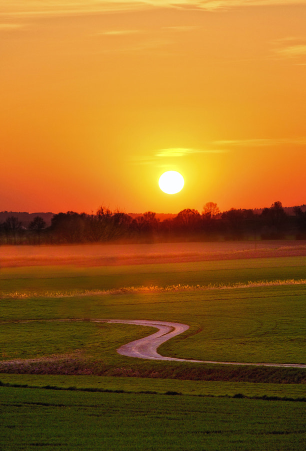 "S" by alvin lee on 500px.com