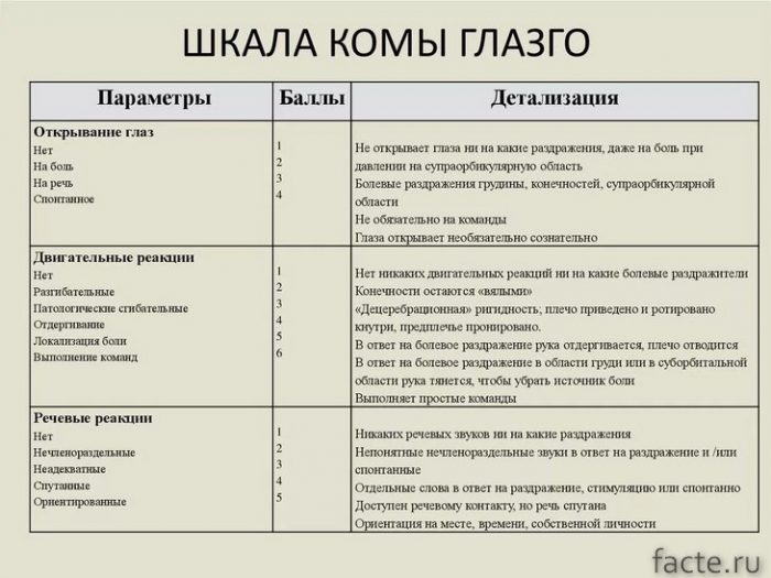 Кома: правда гораздо страшнее кино болезни,здоровье,кома,коматозное состояние,медицина