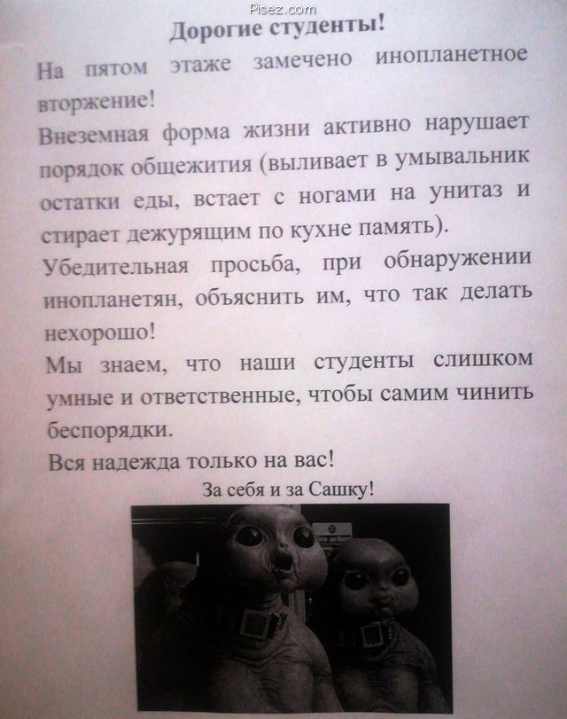 Кратко, чётко и понятно. Реально смешно!