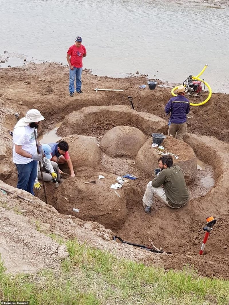 В Аргентине найдены останки предков броненосцев размером с автомобиль
