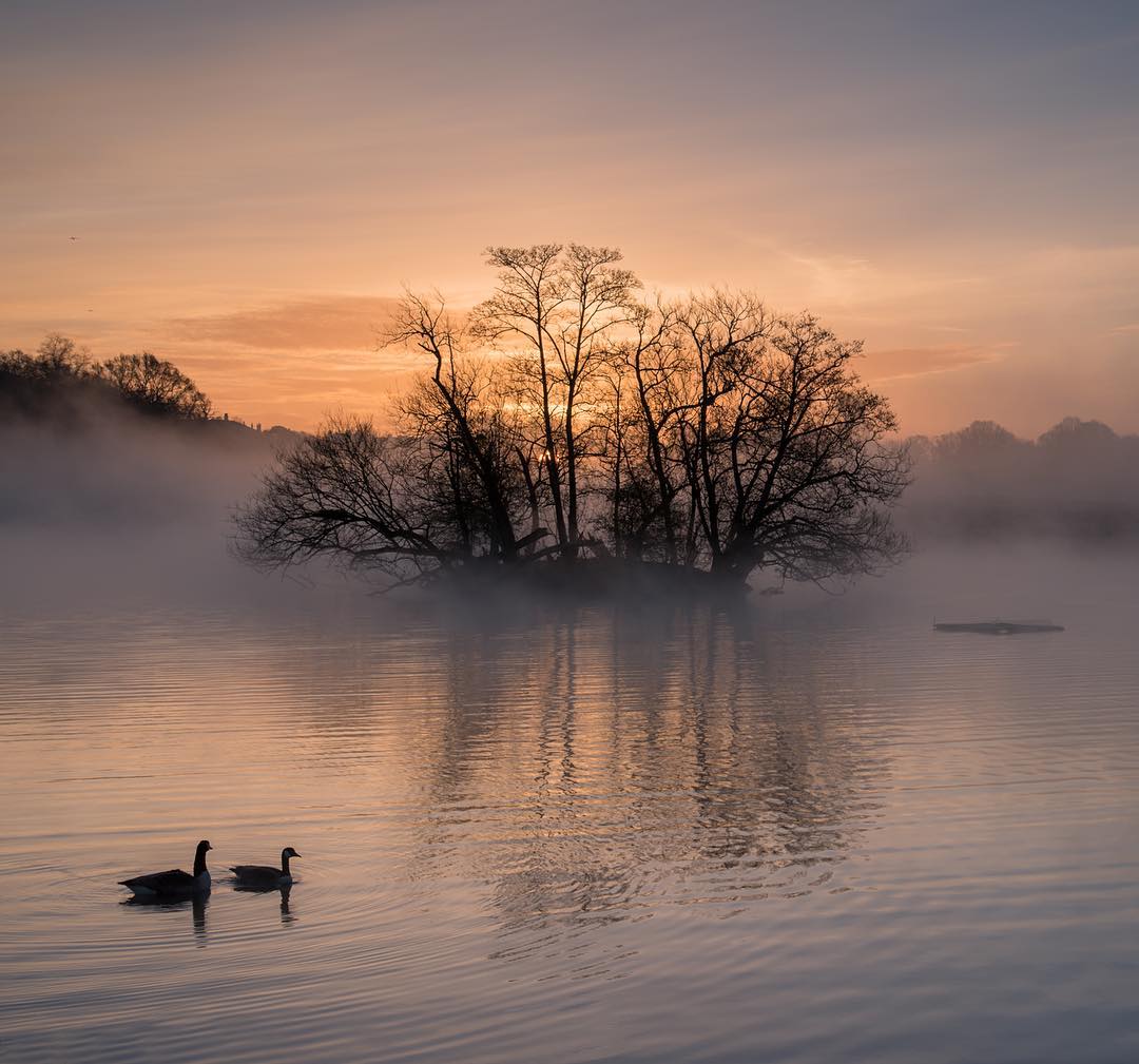 ������� ����� �� �����