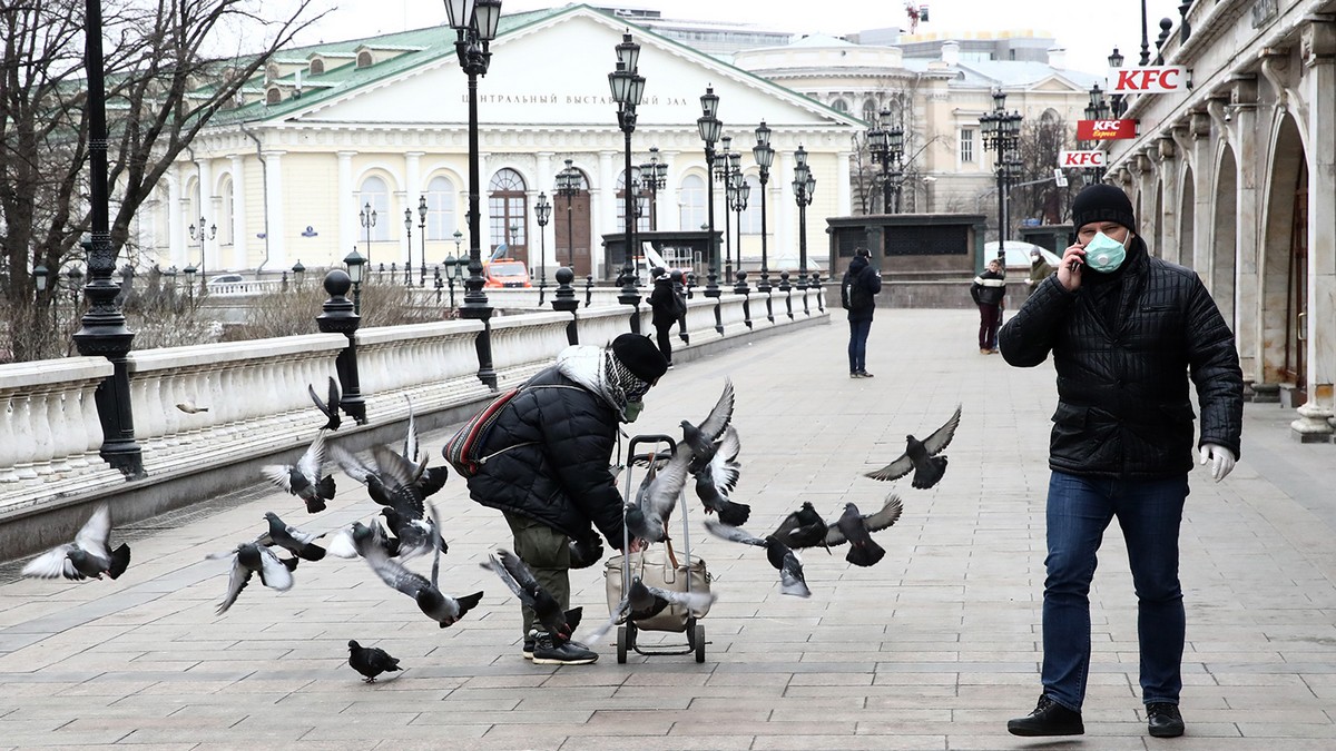 птицы на улицах москвы