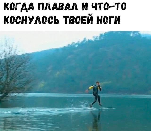 Юмор в картинах Юмор в картинах