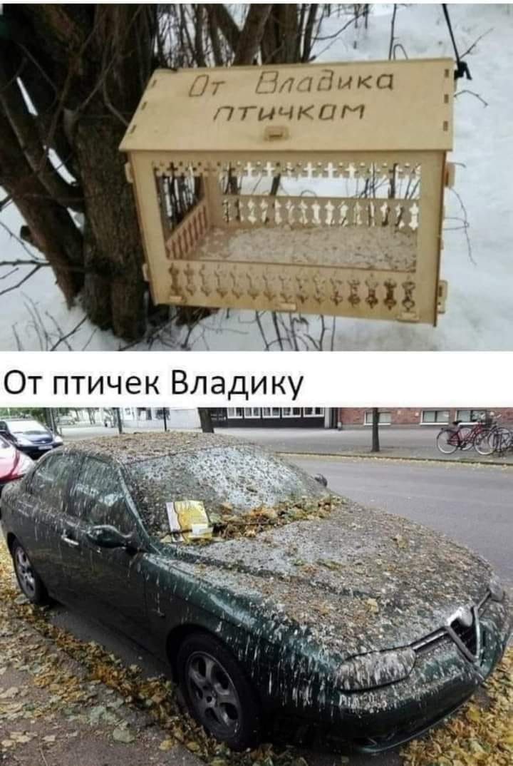 Возможно, это изображение (текст «от владика птичкам от птичек владику»)