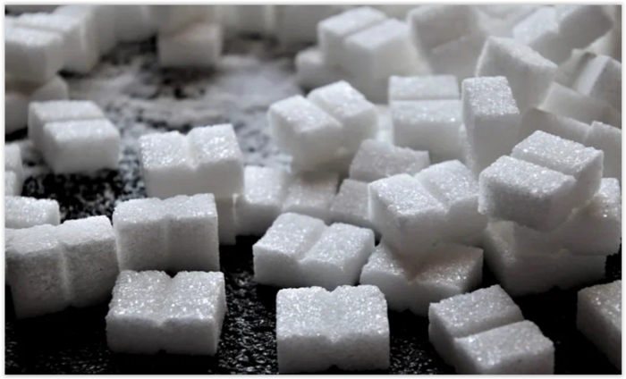 Screen Shot 01-20-22 at 10.53 AM (700x424, 344Kb)