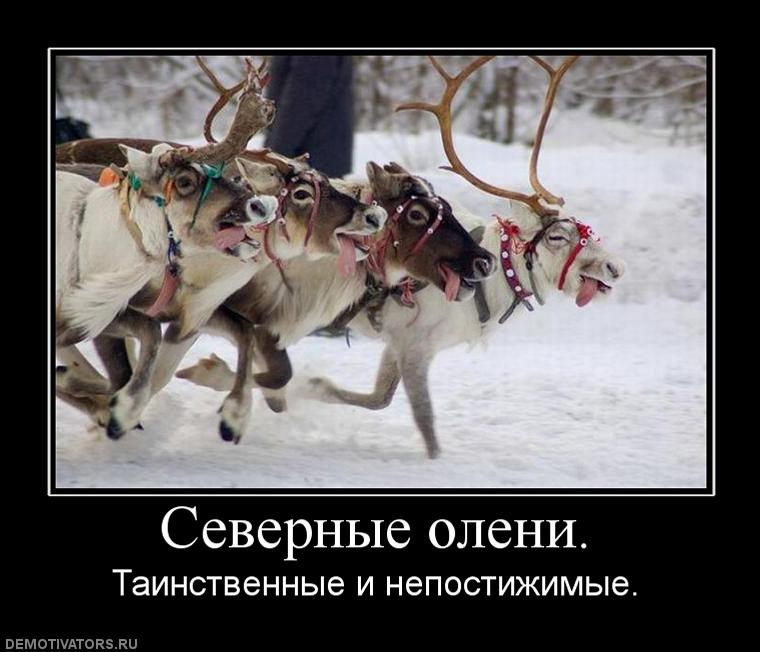 Забавные, веселые и смешные демотиваторы из нашей жизни демотиваторы свежие,смешные демотиваторы