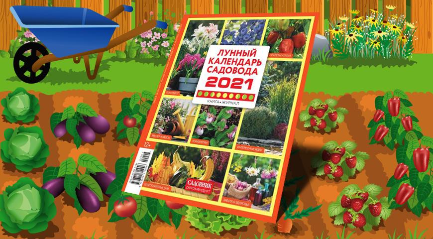 Когда квасить капусту осенью по Лунному календарю 2021 года капусты, квашеной, лунному, квашения, квасить, время, капуста, капусту, только, календарюОктябрь, приготовления, календарю, чтобы, подходят, тщательно, всего, Декабрь, продукта, когда, Ноябрь