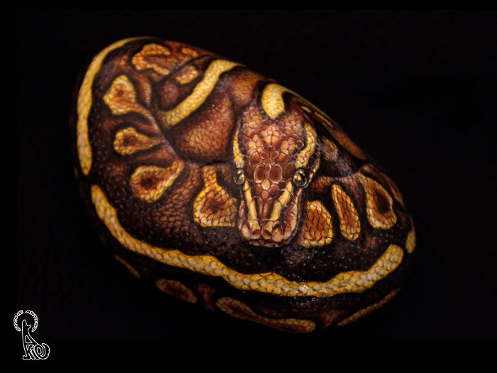 Ball Python