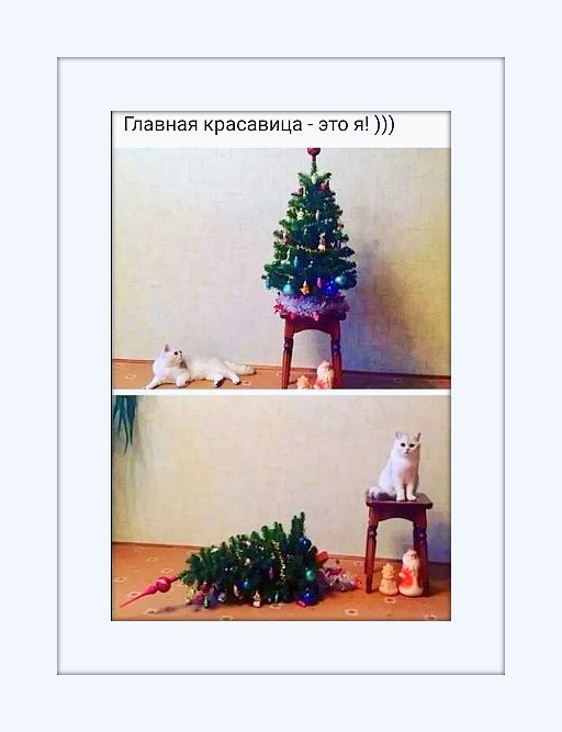 Жду приглашений на Новый Год! В гостях не вредничаю: ем, чем угощают... Пью, что наливают... Сплю, с кем положат... анекдоты