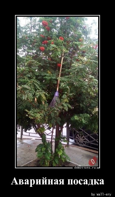 Демотиваторы для всех: «Хочется всего и сразу…» 