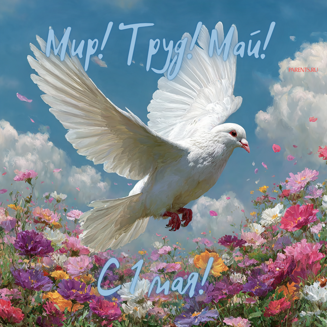 Красивые открытки «С 1 мая» для бабушек, дедушек, мам и пап — в общем, для всех можно, открытки, которые, бесплатно, открыток, Весны, теплее, попрежнему, весныСегодня, приход, ощутить, понастоящему, наконецто, температура, становится, воздуха, поздравлять, весну, только, чествует