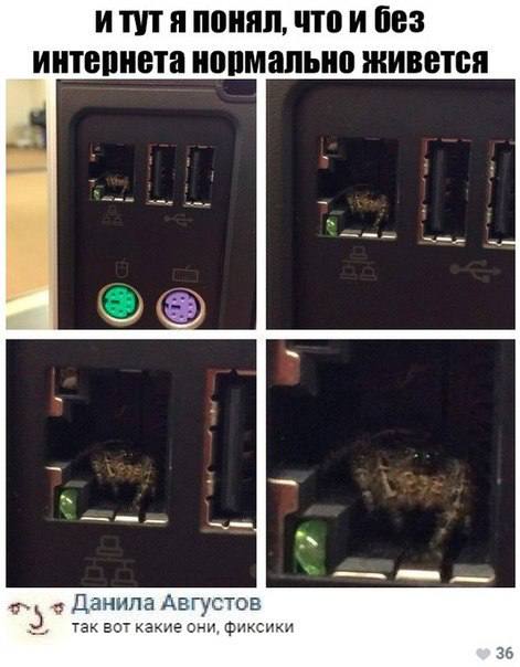 Подборка шуточек Подборка шуточек