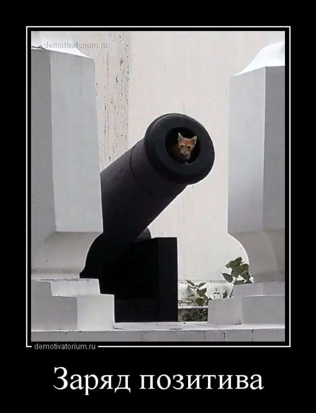 Свежие и зачетные демотиваторы из нашей жизни