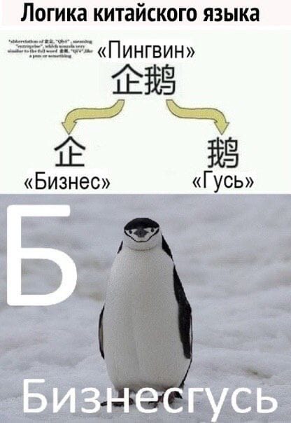 Юмор из интернета 705 Юмор из интернета 705 позитив,смех,улыбки,юмор