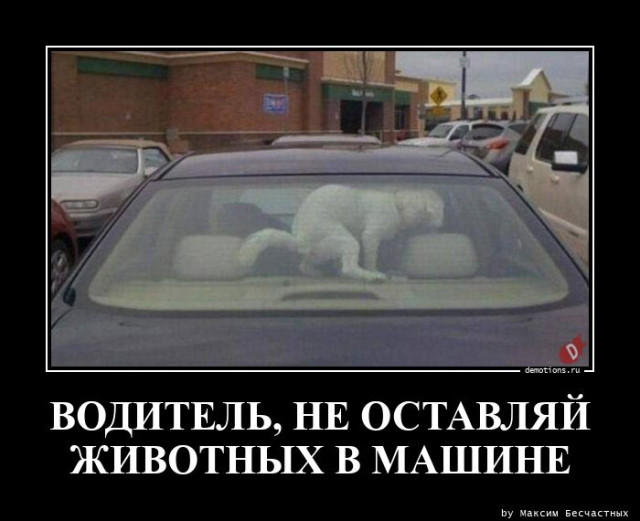 Демотиваторы дня: «Когда проснулся, тогда и завтрак» город Псков г,о,[95247259],г,Псков [1061631],Псковская обл,[1061373]