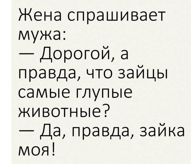 18 жизненных анекдотов и шуток 18 жизненных анекдотов и шуток