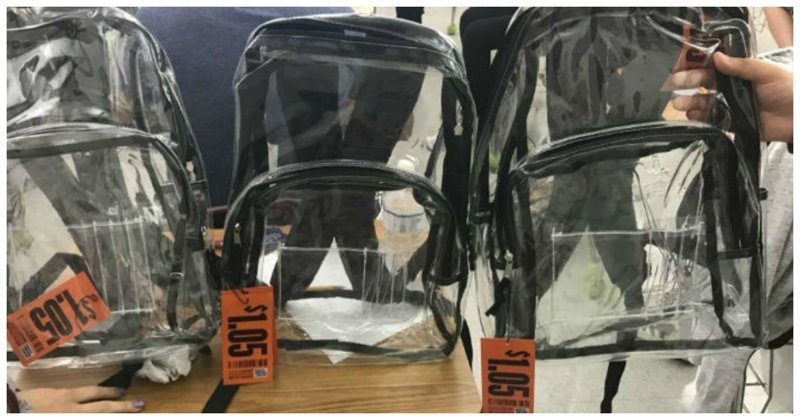 Школьников обязали носить прозрачные рюкзаки: что из этого вышло ynews, безопасность, нововведения, флорида, школа