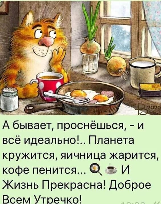 Смешные анекдоты с картинками 