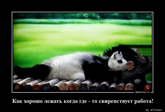 Небольшая, но классная порция демотиваторов для всех, кто любит сарказм и юмор! Небольшая, но классная порция демотиваторов для всех, кто любит сарказм и юмор!